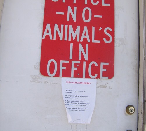 Office No Animal’s In Office